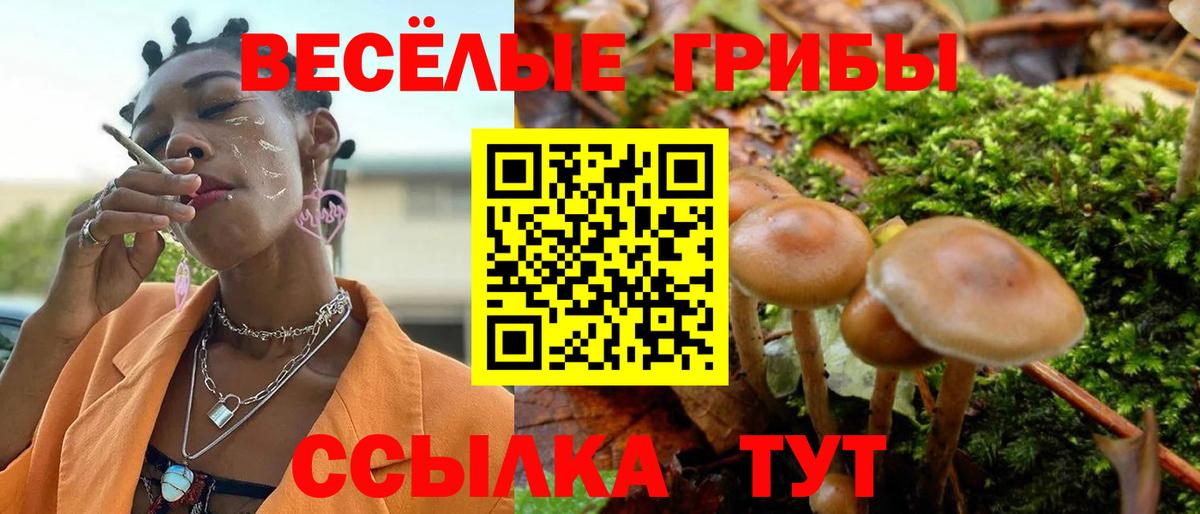 Галлюциногенные грибы MAGIC MUSHROOMS  Вход с VPN  Ржев 